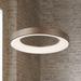 Acryluxe™ Sway 24" Wide Light Bronze LED Pendant Light