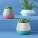 Hashtag Home 3" Artificial Evergreen in Pot Ceramic/Plastic in Pink | 5 H x 4.2 W x 4.2 D in | Wayfair 62412DBA7F79420887814E9C3CA3CDF3