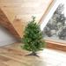Beachcrest Home™ Cheyenne Pine Artificial Tabletop Tree in Green/White | 24 H x 17 W in | Wayfair HLDY3810 32575881
