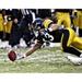 Troy Polamalu Pittsburgh Steelers Fanatics Authentic Unsigned Recovering Fumble Photograph