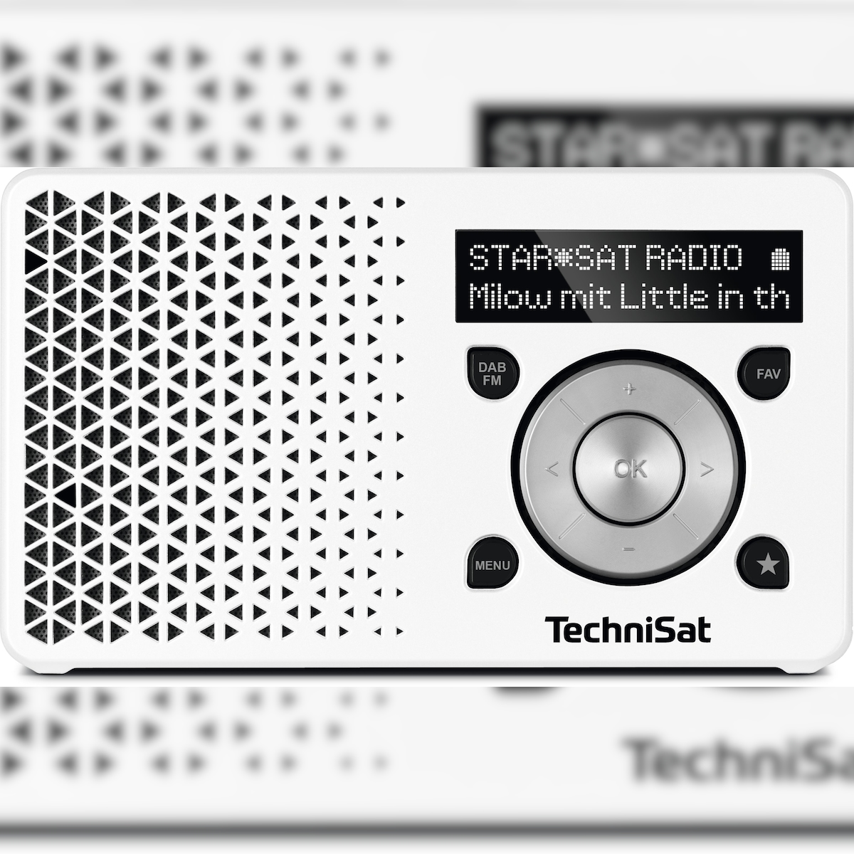 TechniSat DigitRadio 1 Tragbar Digital Silber, Weiß