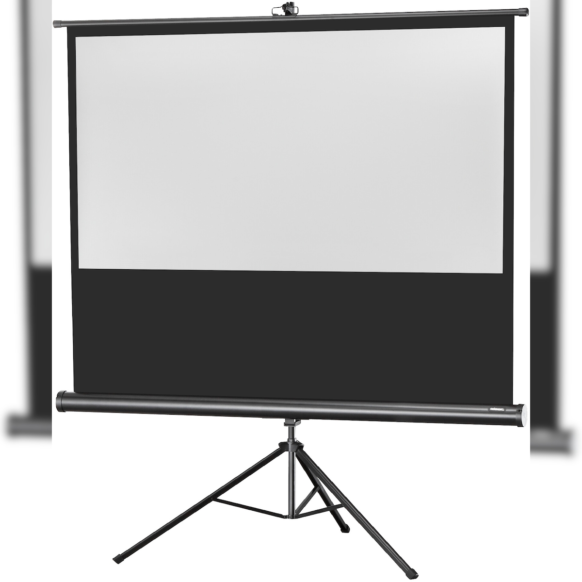 celexon Stativleinwand Economy 244 x 138 cm Image