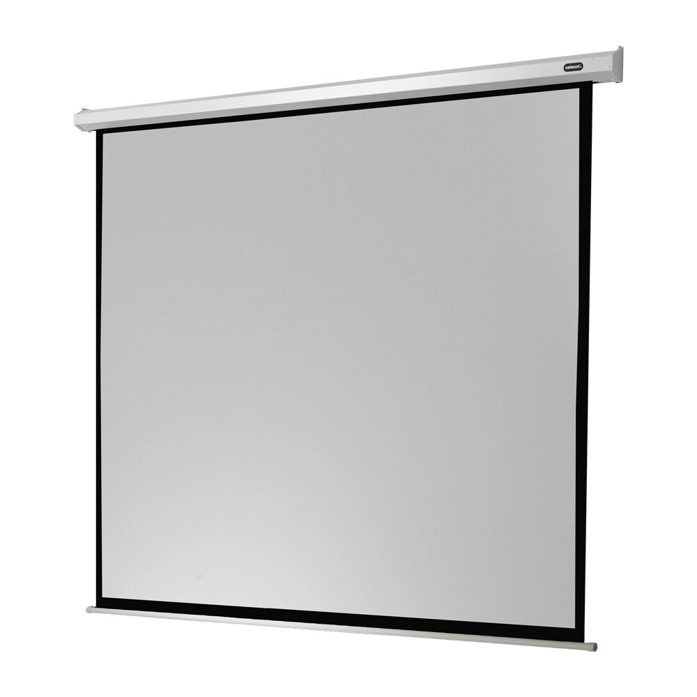 celexon Leinwand Motor Economy 240 x 240 cm Image