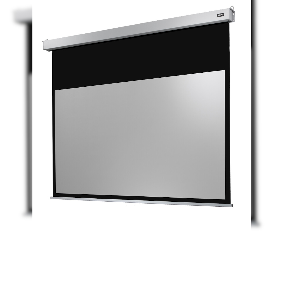 celexon Leinwand Motor Professional Plus 280 x 158 cm Image