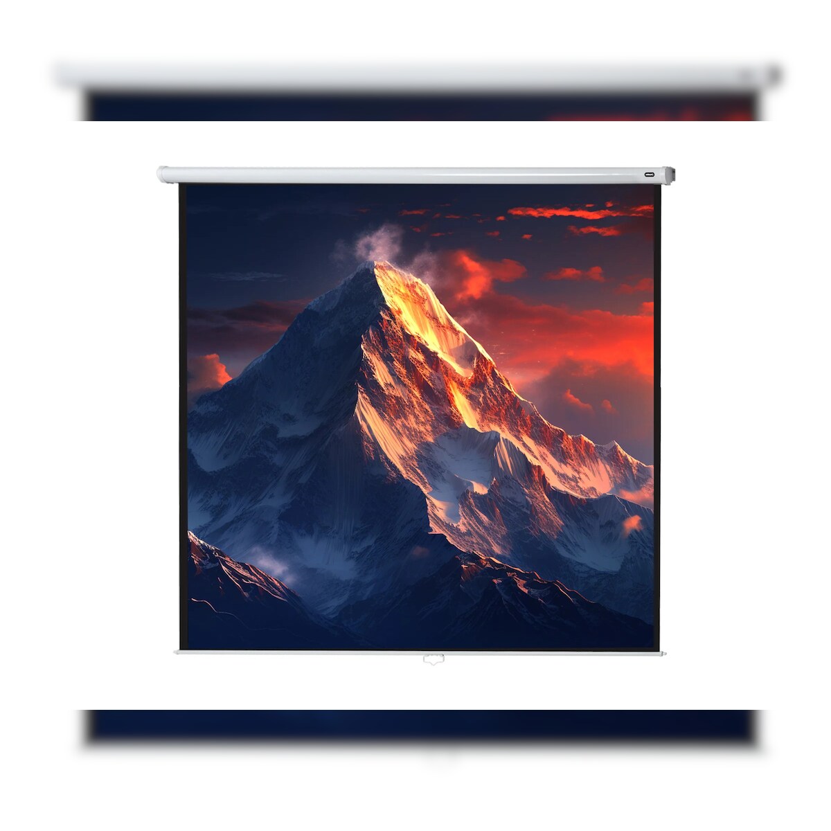 celexon Leinwand Rollo Economy 240 x 240 cm - 134` Image