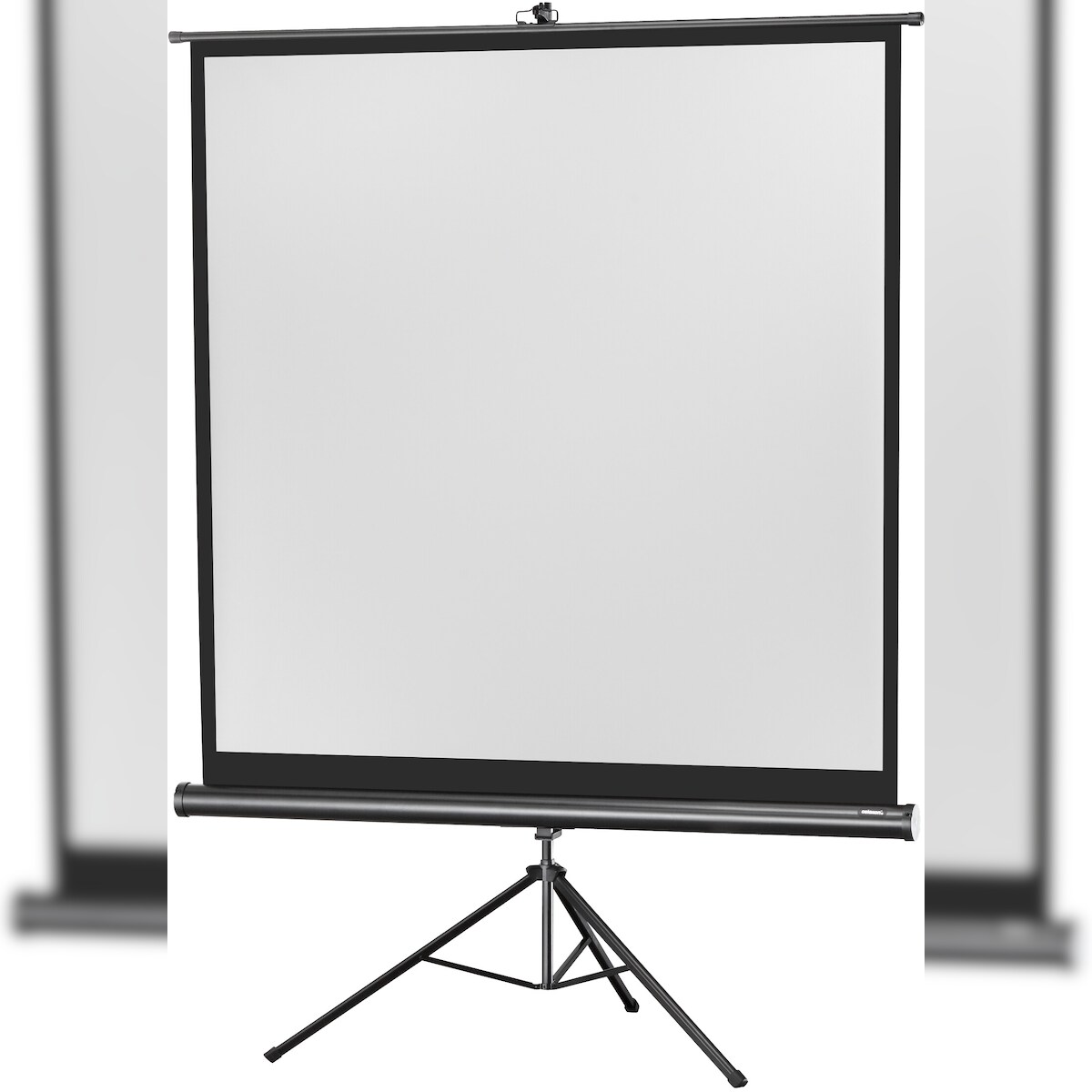 celexon Stativleinwand Economy 158 x 158 cm Image