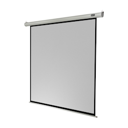 celexon Leinwand Motor Economy 200 x 200 cm Image