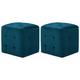 2 pcs Poufs Bleu 30 x 30 x 30 cm Tissu velours - Vidaxl