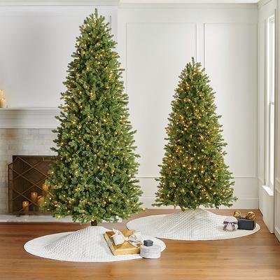 Douglas Fir Slim Profile Tree - 9 Ft. - Frontgate - Christmas Tree