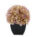 Winston Porter Hydrangea Floral Arrangements in Pot Fabric | 11 H x 10 W x 10 D in | Wayfair 451FF46315F7448A8113DAFDDA75A88E