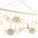 Rosecliff Heights Stgermain Placuna & Starfish Wind Chime | 14 H x 24 W x 2 D in | Wayfair EA548A0FA27A47D59D8AB9A86702F24E