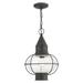 Livex Lighting Newburyport 16 Inch Tall Outdoor Hanging Lantern - 26906-61