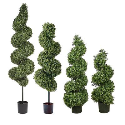 Spiral Outdoor Boxwood Topiary -...