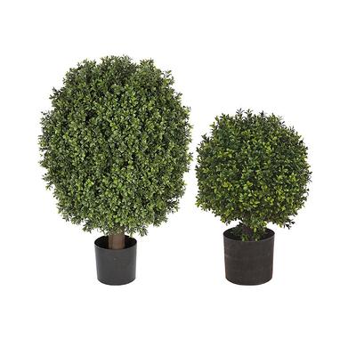 Single Ball Outdoor Boxwood Topiary - 20" - Frontgate