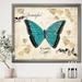East Urban Home Farmhouse Butterfly - Picture Frame Print on Canvas in Blue | 16 H x 16 W x 1 D in | Wayfair 9AB304072B91471B940B4742D10F78E2