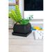 Latitude Run® 3-Piece Ceramic Pot Planter Set Ceramic in Black | 3 H x 3 W x 3 D in | Wayfair 0558B289FC284A41A01F80CC50B46315