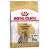 7,5kg Yorkshire Terrier Adult Royal Canin Alimento secco Cani