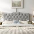 Kelly Clarkson Home McCrory Velvet Upholstered Panel Headboard Polyester in White | 51 H x 41 W x 4 D in | Wayfair 740NB-PWVLVLGHGR