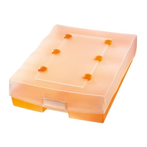 Archivbox CROCO-DUO, DIN A8 quer, mit A-Z Register und 8 Stützen, transl.-orange Image