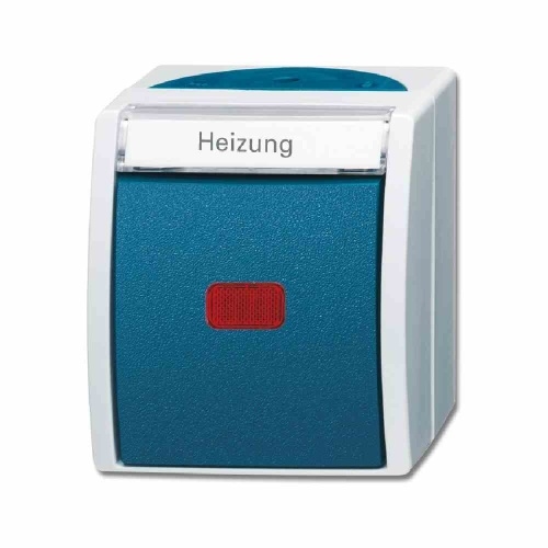 Busch-Jaeger OCEAN Wippschalter, Kontrollschalter, grau/blau-grün, matt, Aufputz, IP44, 2p, 1f Image