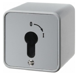 Berker Schlüsselschalter 2p. 4466 Image