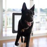 Hakuna Pets Plastic Door Mount Pet Door For Dog & Cat in Black | 20.47 H x 15.2 W x 2.56 D in | Wayfair 1123