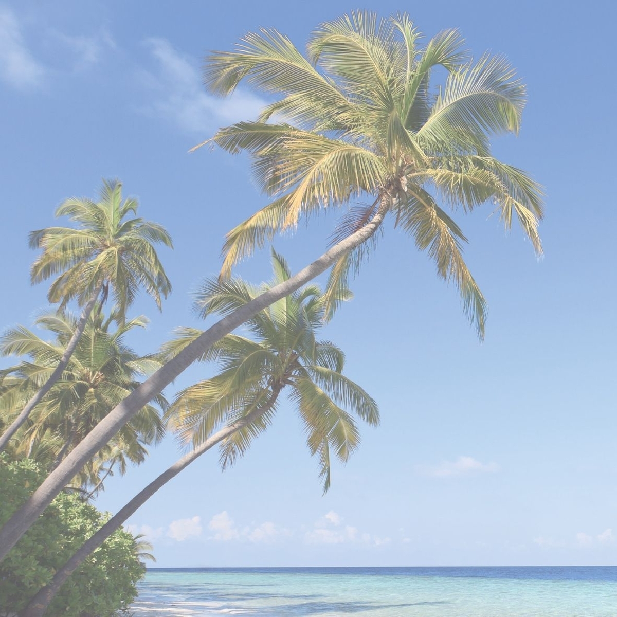 Sigel Schreibunterlage Design HO470 595x410mm Kalendarium 30Blatt Image