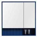 Latitude Run® Asahel Surface Mount Framed 2 Doors Medicine Cabinet w/ 2 Shelves Wood in Blue | 30 H x 27.75 W x 5.87 D in | Wayfair