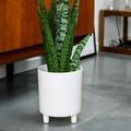 Ivyline Pisa Premium Glaze Ceramic Planter in White - Stylish, UV Stable & Waterproof - Premium Quality Indoor Decorative Flower Pot - H24cm x D20cm