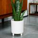 Ivyline Pisa Premium Glaze Ceramic Planter in White - Stylish, UV Stable & Waterproof - Premium Quality Indoor Decorative Flower Pot - H24cm x D20cm