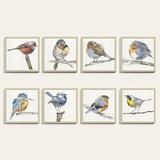 Birds of a Feather Art - Print VIII, 18" x 18" - Ballard Designs 18" x 18" - Ballard Designs