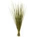 Vickerman 651742 - 24-30" Basil Whip Grass Bundle - 8 oz. (H2WGS100) Dried and Preserved Grass