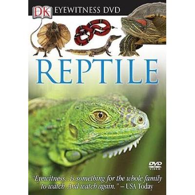 Eyewitness DVD: Reptile (Eyewitness Videos)