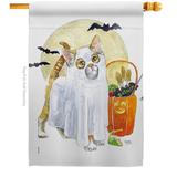 Breeze Decor Ghost Cat 2-Sided Polyester 40 x 28 in. House Flag in Gray | 40 H x 28 W in | Wayfair BD-HO-H-112097-IP-BO-D-US20-WA