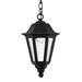 Hinkley Manor House 1-Light Outdoor Hanging Lantern Glass/Aluminium/Metal in Black/Gray | 15 H x 9 W x 9 D in | Wayfair 1412BK