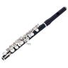 Philipp Hammig 650/3 Piccolo Flute