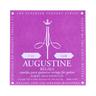 Augustine Classic Gold Regal