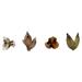 Vickerman 656372 - 3-4" Assorted Sora Pods 25Pk (H2SORBMIX-1) Dried and Preserved Pods