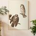 Loon Peak® Pl 380 Tengmalm's Owl - Wrapped Canvas Painting Print Canvas in Brown/Gray/Green | 12 H x 8 W x 1 D in | Wayfair
