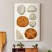 Highland Dunes Coastal Curiosity II - Print on Canvas Canvas, Solid Wood in Orange | 20 H x 16 W x 1 D in | Wayfair