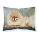 East Urban Home Pomeranian Full Body Pillowcase Microfiber/Polyester | Wayfair 8BF9AF11EFBB40D0B976C54480AF1A66