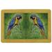 Highland Dunes Coastal Macaw Non-Slip Indoor/Outdoor Door Mat Synthetics | Rectangle 1'6" x 2'2" | Wayfair DM032