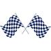 Zoomie Kids Flag Racing Car Wall Decal Vinyl in Blue/White | 12 H x 20 W in | Wayfair F1C528021D824813AD793B140AA7B5A2