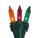 Northlight Seasonal 100-Count Multicolor Mardi Gras Mini Christmas Light Set 20.6ft Wire in Green | 1 H x 261 W x 261 D in | Wayfair