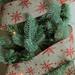 Northlight Seasonal Red & Beige Star Wired Christmas Craft Ribbon 2.5" x 10 Yards Plastic in Brown | 1 H x 2.5 W x 360 D in | Wayfair 32620364