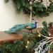 Northlight Seasonal Green & Blue Peacock Tail Feathers Christmas Decor | 5.25 H x 13 W x 4.5 D in | Wayfair JA83774