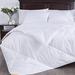 Puredown Lightweight Duvet Insert Down Blanket Down/Down & Feather Blend, Cotton in White | 88 H x 68 W x 2.8 D in | Wayfair PD-16040-T