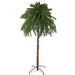 Northlight Seasonal 6' Pre-Lit Artificial Tropical Outdoor Patio Palm Tree - Multicolor Lights Plastic | 72 H x 48 W x 48 D in | Wayfair