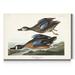 Gracie Oaks 'Pl 313 Blue-Winged Teal' - Wrapped Canvas Print Canvas, Solid Wood in Black/Brown/Gray | 27 H x 18 W x 1 D in | Wayfair