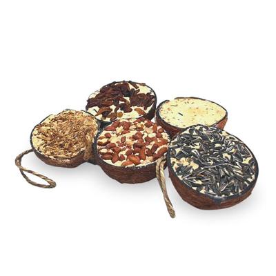 Lyra Pet - 3 x 10 Stk. ® Halbe Kokosnuss gefüllt mit Topping